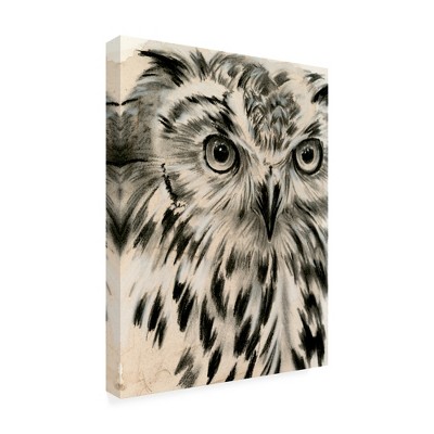 Trademark Fine Art -Jennifer Paxton Parker  'Charcoal Owl I' Canvas Art
