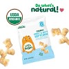 Little Bellies Organic Sweet & Salty Softcorn Baby Snacks - 1.25oz - 4 of 4