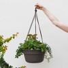 Bloem 12" Dura Cotta Round Resin Self-Watering Hanging Basket Planter with Macrame Cord - 2 of 4