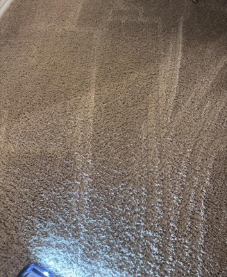 Guest review image 3 of 3, zoom in