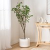 XINGHANZHENXUAN Artificial Milan Leaf Bonsai Tree, Pre-Potted Faux Plant with Clustered Oval Leaves for Indoor Decor - 4 of 4