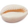 Juvale Cowrie Sea Shell Pendants, 1 Inch Dangle Charms for DIY Jewelry Making, Versatile Cowrie Shells for Crafting, 150 Pieces - 3 of 4