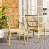 Bora Armchair (Set Of 2) - Indoor/Outdoor - PAT4046 - Natural - Safavieh - 2 of 4