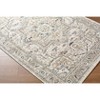 Livabliss Zidane Woven Indoor Area Rugs - 4 of 4