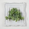Nearly Natural 11-in Watermelon Peperomia Hanging Artificial Bush Plant (Set of 12) (Real Touch) - 2 of 2