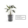Ecopots Recycled Plastic Round Flower Pot Planter Saucer with Wheels - 2 of 4
