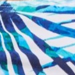 blue palm
