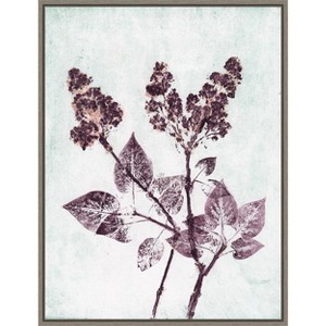Amanti Art Lilac 1 Aqua Plum by Pernille Folcarelli Canvas Wall Art Print Framed 18 x 24-in. - 1 of 4
