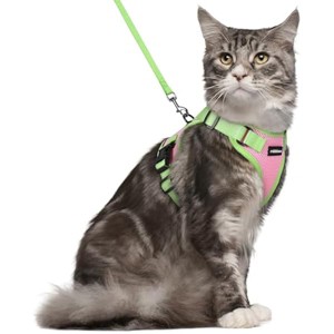rabbitgoo Cat Harness and Leash Set, Escape , Easy Control Breathable Kitten Jacket with Reflective Strips, Pink & Light Green, M - 1 of 1