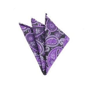 TheDapperTie - Men's Paisley Woven 10 Inch x 10 Inch Pocket Squares Handkerchief - 1 of 3