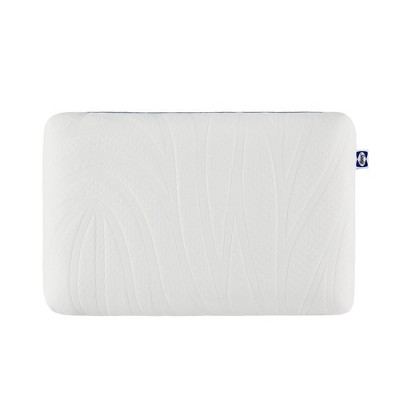 Sealy Dreamlife Standard White Memory Foam Bed Pillow