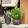 Sullivans Artificial 22" Lifelike Potted Fern, Green - 3 of 4