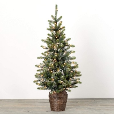 4' Sullivans Potted Lit Iced Pine Tree, Green