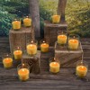 LumaBase Citronella Votive Candles in Clear Glass Holders - Set of 12 - 4 of 4