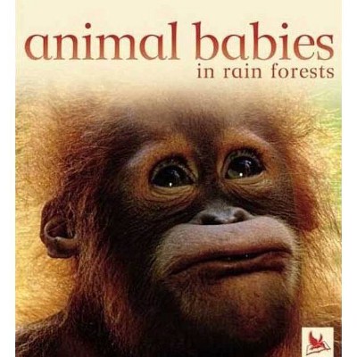 Animal Babies in Forests - by  Kingfisher Books (Board Book)