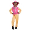 Nickelodeon Paw Patrol Skye Chase Marshall Zip Up Cosplay Coverall Toddler - 2 of 4