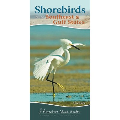 Shorebirds of the Southeast & Gulf States - (Adventure Quick Guides) by  Stan Tekiela (Spiral Bound)