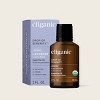 Organic Lavender Essential Oil - 4 of 4