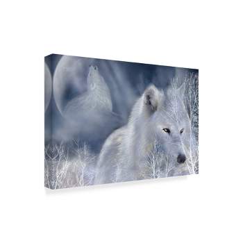 Trademark Fine Art -Carol Cavalaris 'White Wolf Painting' Canvas Art