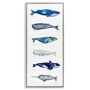 Stupell Industries Maritime Sea Life Chart, 13" x 30" - 1 of 4