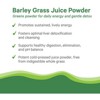 Pure Synergy Organic Barley Grass Juice Powder – Cold-Pressed Superfood for Energy, Detox & Digestive Health | 5.3 oz - 4 of 4