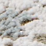 cream, charcoal, mustard, lightbrown, mediumbrown, lightgray