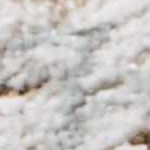 cream, charcoal, mustard, lightbrown, mediumbrown, lightgray