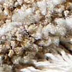 cream, charcoal, mustard, lightbrown, mediumbrown, lightgray