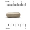 Ferrochel Iron, Ferrous Bisglycinate Chelate Form, Gentle on the Stomach, 36 mg, 90 Veggie Capsules - 3 of 3