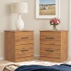 Galano Elis Rae 2 Drawer Amber Walnut Nightstand Set of 2 - 4 of 4