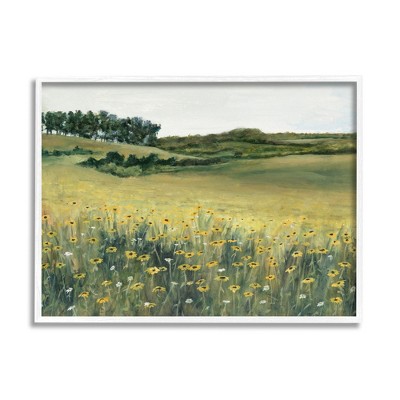 Stupell Industries Rural Daisy Meadow Framed Giclee Art