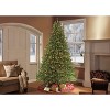 10ft Pre-lit Full Artificial Christmas Tree Forest Fir - Puleo - 2 of 3
