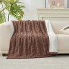 Amelie Home Reversible Chenille Cable Knit Throw Blanket - 2 of 4