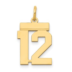 Black Bow Jewelry 14k Yellow Gold, Athletic Collection, Small Polished Number 12 Pendant - 1 of 4