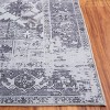 Tucson Vintage Persian TSN102 Power Loomed Machine Washable Skid-Resistant Indoor Rugs - Safavieh - 4 of 4
