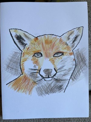  Prismacolor Technique Digital Art Lesson, Animal Drawing Set,  Level 1 How to Draw Animals with Colored Pencils, Graphite Pencils, Fox Drawing  Lesson, Holiday Gift for Artists, Stocking Stuffer, 26 Ct 