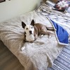 Kritter Planet Queen Size Waterproof Pets Blanket for Dogs Cats, Reversible Protector for Couch Furniture, Washable, Hair Resistant, Stain Proof - 4 of 4