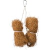 Prevue Pet Products BPV62091 2-Pack Tropical Teaser Coco Bundles Bird Toy - 2 of 2