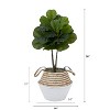 HomeStock  3 ft. Artificial Fig Tree in Basket for Indoor/Outdoor - 2 of 4