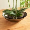 Plum & Post Myron Decorative Bowl - 3 of 4