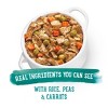 Purina Beneful Prepared Meals Stew Recipes Wet Dog Food - 10oz - 3 of 4