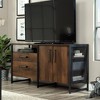 Sauder Briarbrook Credenza: Entertainment Cabinet, Adjustable Shelves, 60" TV Capacity, Barrel Oak - 2 of 4