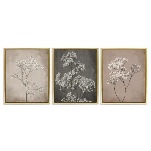 Stupell Industries Botanical Baby's Breath Herbs, 25" x 31" - 1 of 4