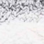 ivory/gray