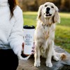 Pavilion Gift Company - River Dog - 17 oz Stainless Steel Travel Tumbler - Portable Drinkware - 2 of 4