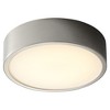 Oxygen Lighting Peepers 1 - Light Flush Mount in  Polished Nickel - 2 of 2