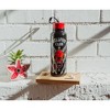 Silver Buffalo Stranger Things Hellfire Club Stainless Steel Water Bottle | Holds 27 Ounces - 3 of 4