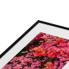 Bethany Young Photography California Blooms Metal Framed Art Print - Deny Designs - 3 of 4