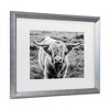 Trademark Fine Art - Nathan Larson Highland Cow Staring Contest Crop Matted Framed Art - 3 of 4