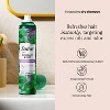 Suave Dry Shampoo Rosemary and Mint Deep Cleanse Hairspray - 4.3 fl oz - 3 of 4